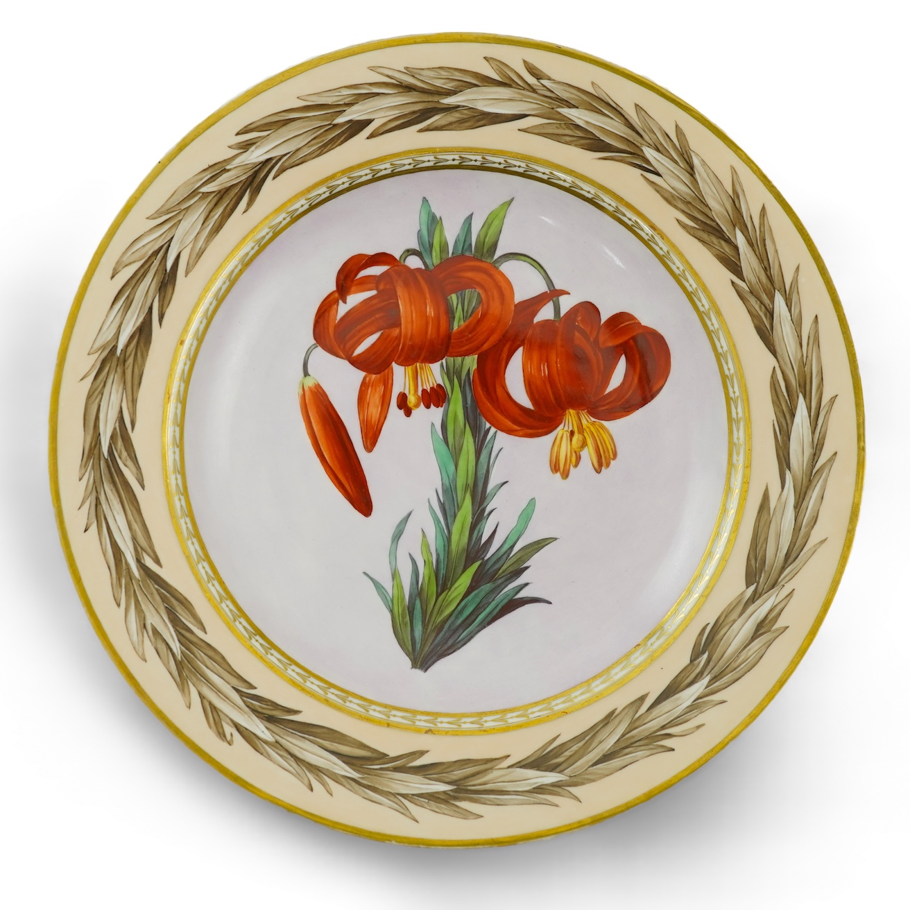 A KPM Berlin Turban lily botanical specimen plate, c.1806-9